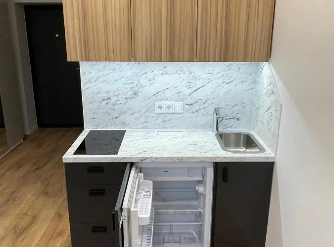 22 Airport Lejlighed Vilnius